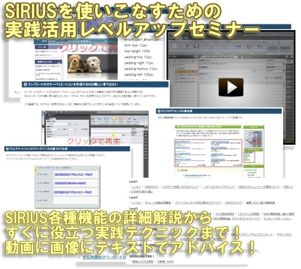 SIRIUS,レベルアップ,セミナー,使いこなす